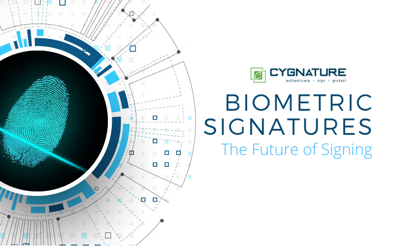 What Is Signature Biometric Identification at Phyllis Lee blog